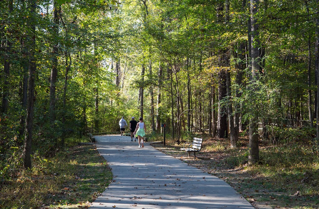 Sherwood Forest Amenities