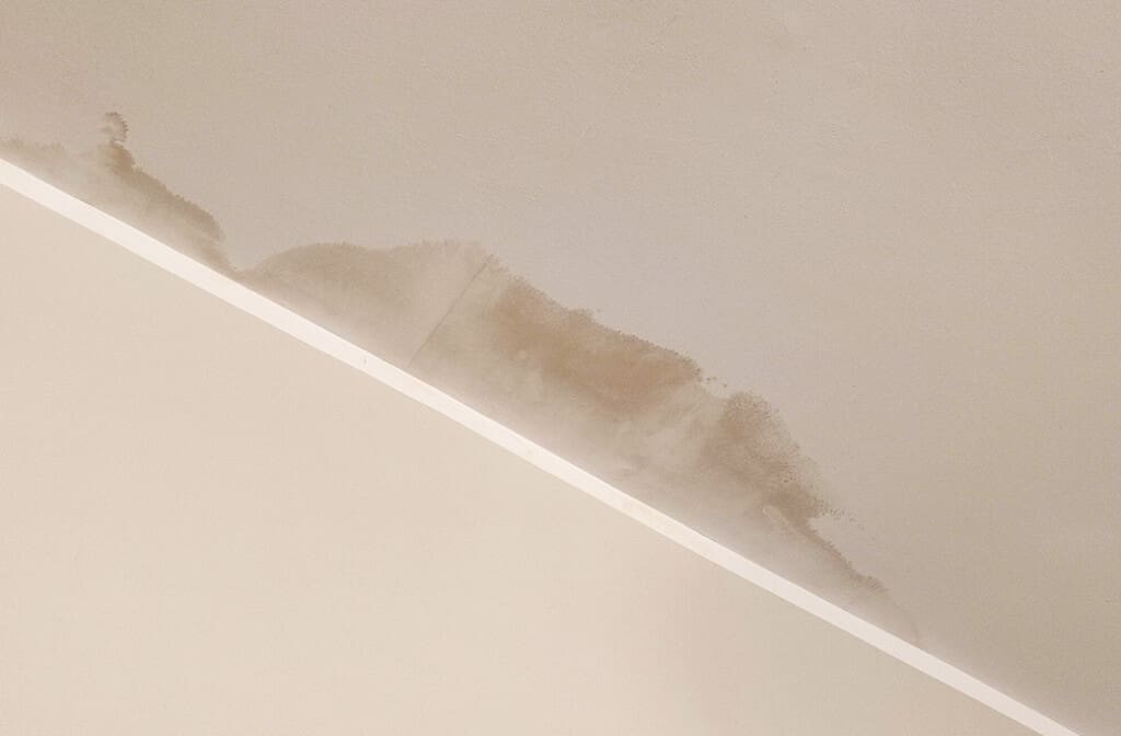 Plumbing Inspections When Buying a Home