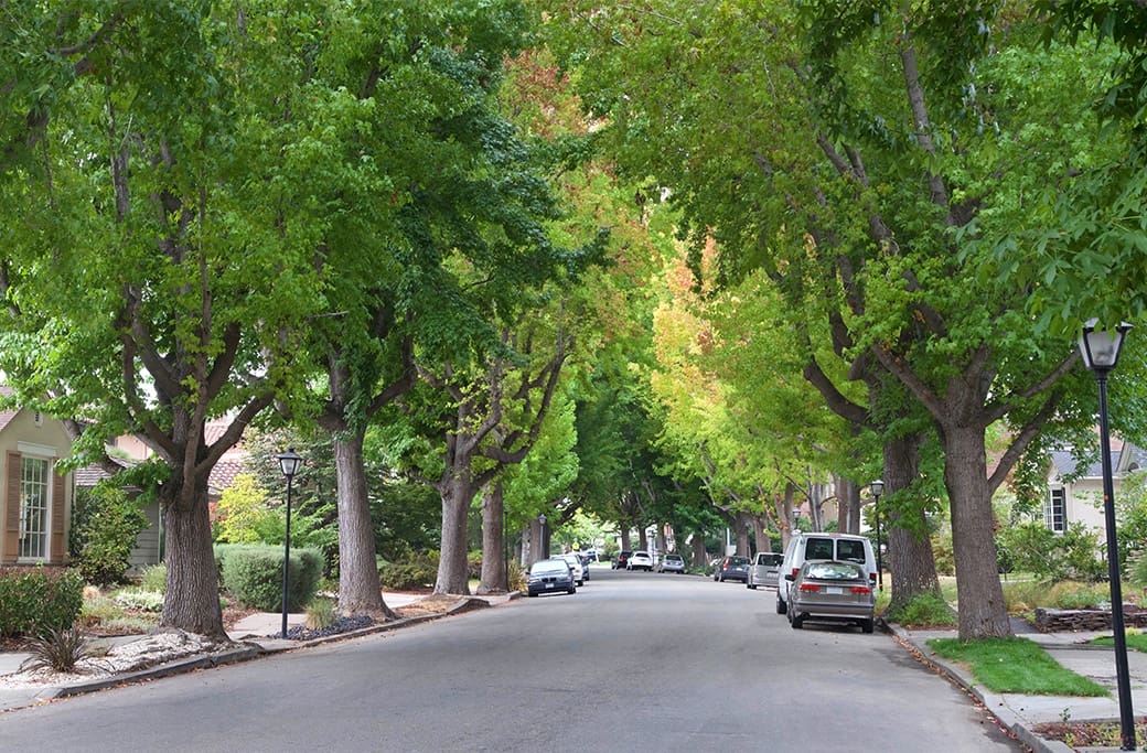 Finding Your Home Sweet Calm