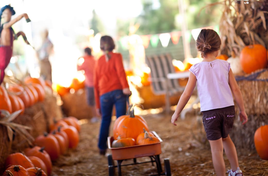 October Family Fun in Winston-Salem: Fall Festivals & Activities - The ...