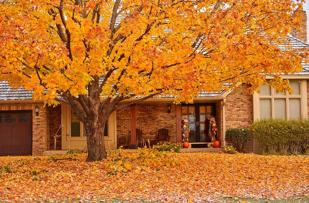 Why Fall Water Damage Prevention Matters